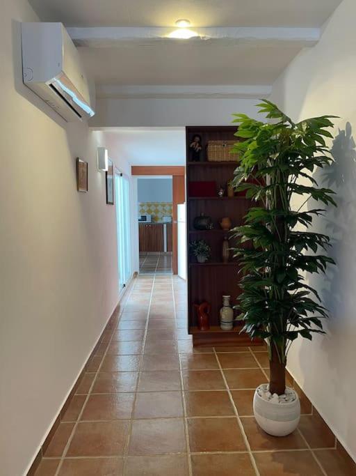 Casa Da Oliveira Villa Mourão Exterior photo